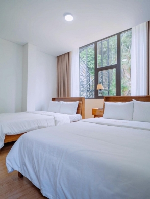 Phongnha Discovery Tours