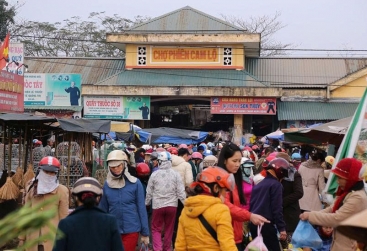 Phongnha Discovery Tours