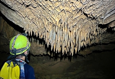 Phongnha Discovery Tours