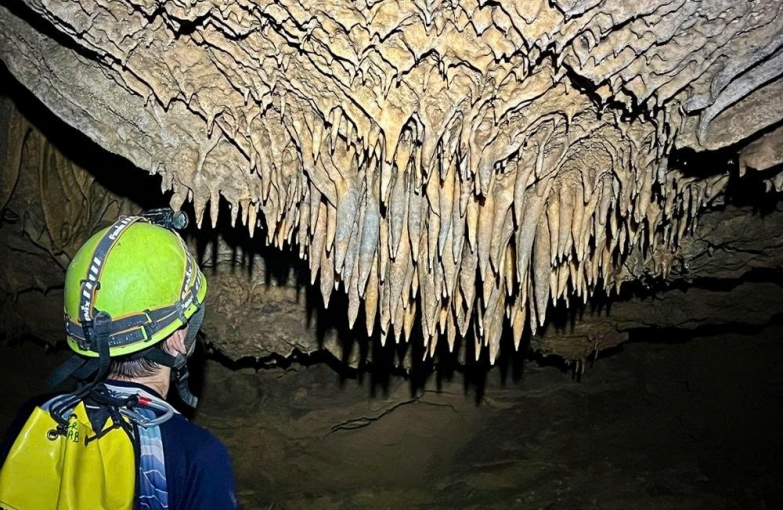 Phongnha Discovery Tours