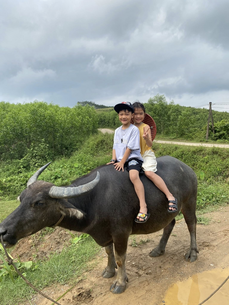 International visitors enjoying their first buffalo-riding experience in rural Phong Nha.