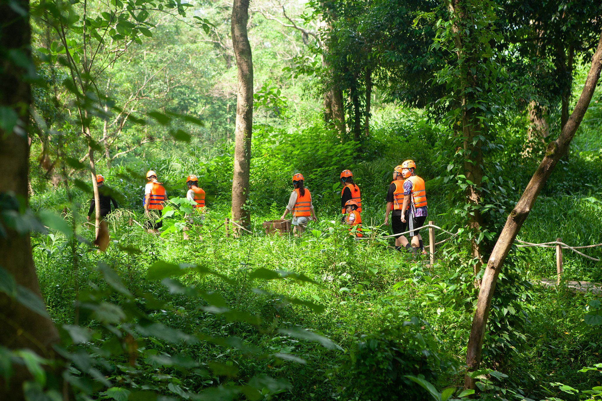 Phongnha Discovery Tours