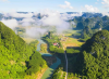 Phongnha Discovery Tours