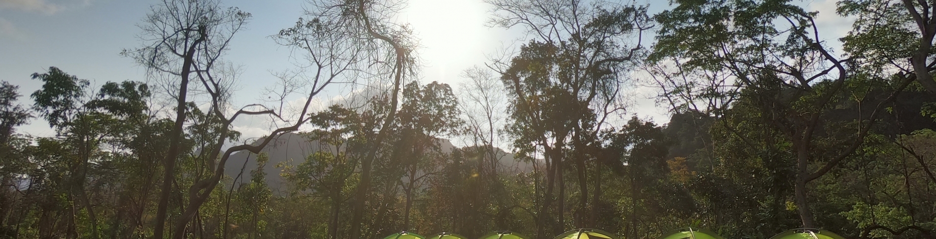 Phongnha Discovery Tours