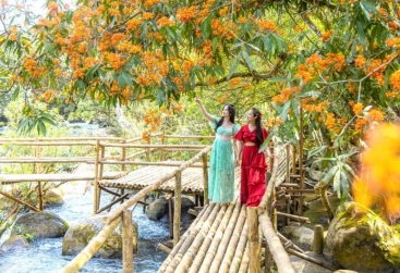 Phongnha Discovery Tours