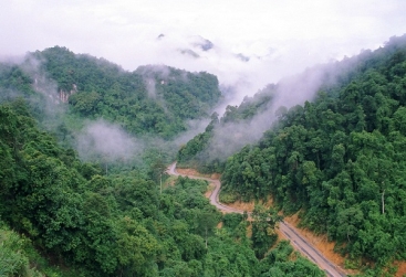 Phongnha Discovery Tours Phongnha Discovery Tours