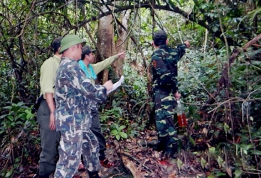 Phongnha Discovery Tours Phongnha Discovery Tours