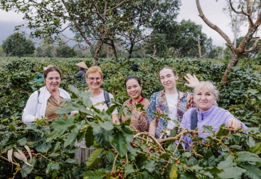 Phongnha Discovery Tours Phongnha Discovery Tours