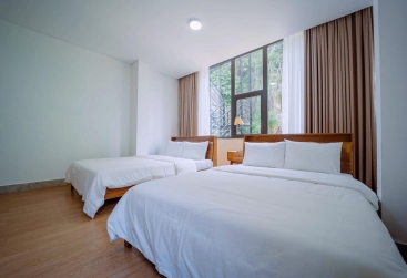 Phongnha Discovery Tours