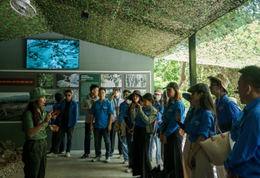 Phongnha Discovery Tours