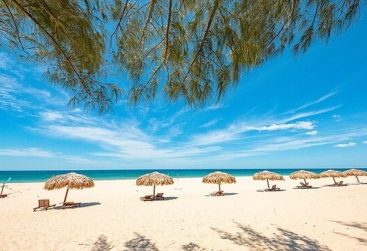 Phongnha Discovery Tours