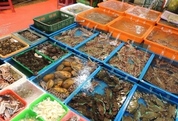 Phongnha Discovery Tours Phongnha Discovery Tours