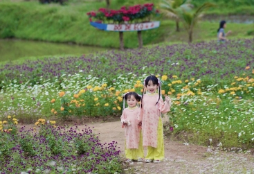 Phongnha Discovery Tours Phongnha Discovery Tours