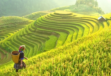 Phongnha Discovery Tours