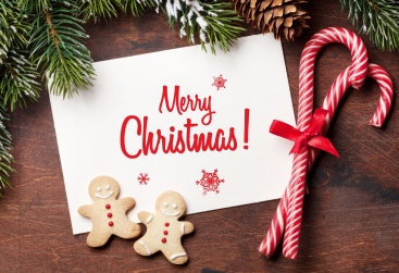 Phongnha Discovery Tours Phongnha Discovery Tours