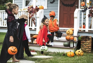 Phongnha Discovery Tours Phongnha Discovery Tours