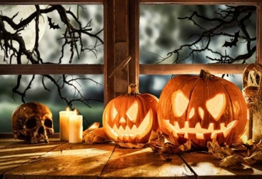 Phongnha Discovery Tours