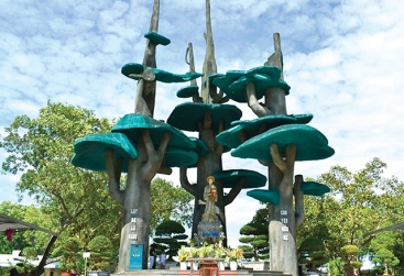 Phongnha Discovery Tours Phongnha Discovery Tours