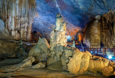 Phongnha Discovery Tours Phongnha Discovery Tours