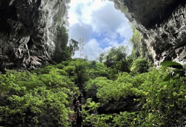 Phongnha Discovery Tours Phongnha Discovery Tours