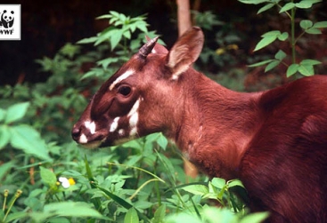 Phongnha Discovery Tours Phongnha Discovery Tours