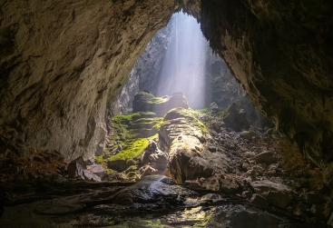 Phongnha Discovery Tours Phongnha Discovery Tours