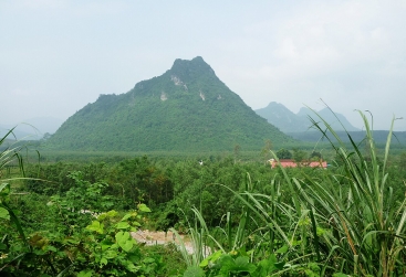 Phongnha Discovery Tours