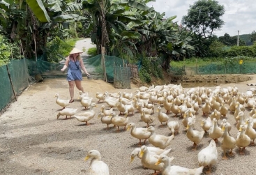 Phongnha Discovery Tours Phongnha Discovery Tours