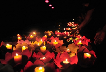 Phongnha Discovery Tours Phongnha Discovery Tours