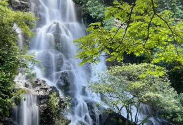 Phongnha Discovery Tours Phongnha Discovery Tours