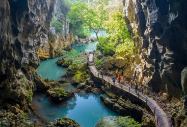 Phongnha Discovery Tours