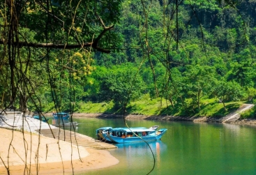 Phongnha Discovery Tours