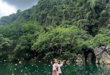 Phongnha Discovery Tours