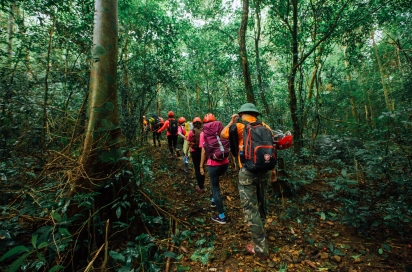 Phongnha Discovery Tours