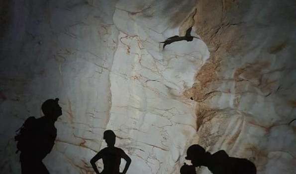 Phongnha Discovery Tours