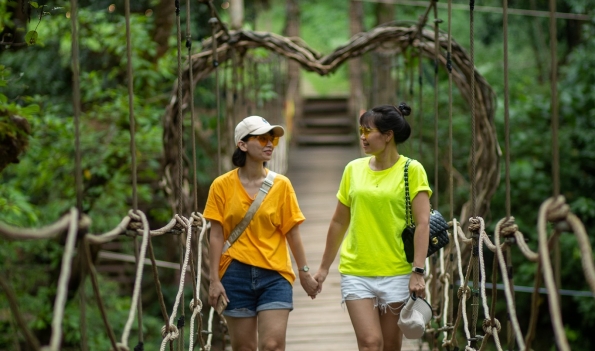 Phongnha Discovery Tours