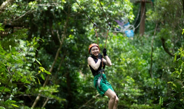 Phongnha Discovery Tours