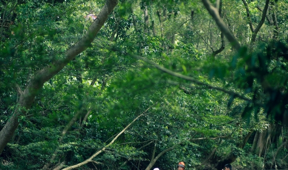 Phongnha Discovery Tours