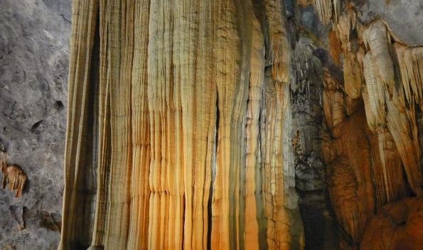 Phongnha Discovery Tours