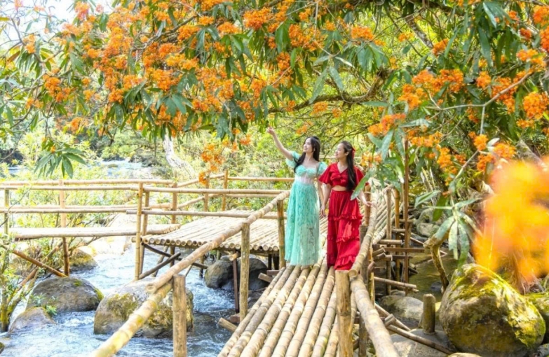 Phongnha Discovery Tours