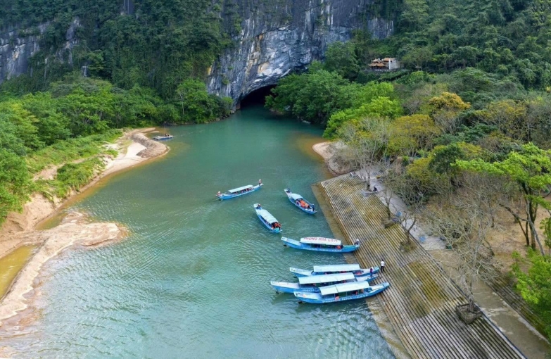Phongnha Discovery Tours Phongnha Discovery Tours