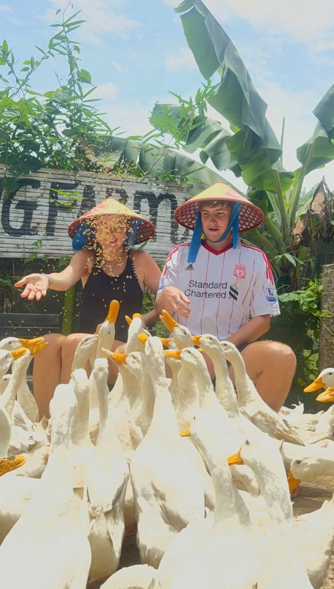Duck feeding is one of the most popular experiences among international visitors exploring Phong Nha's countryside farms.